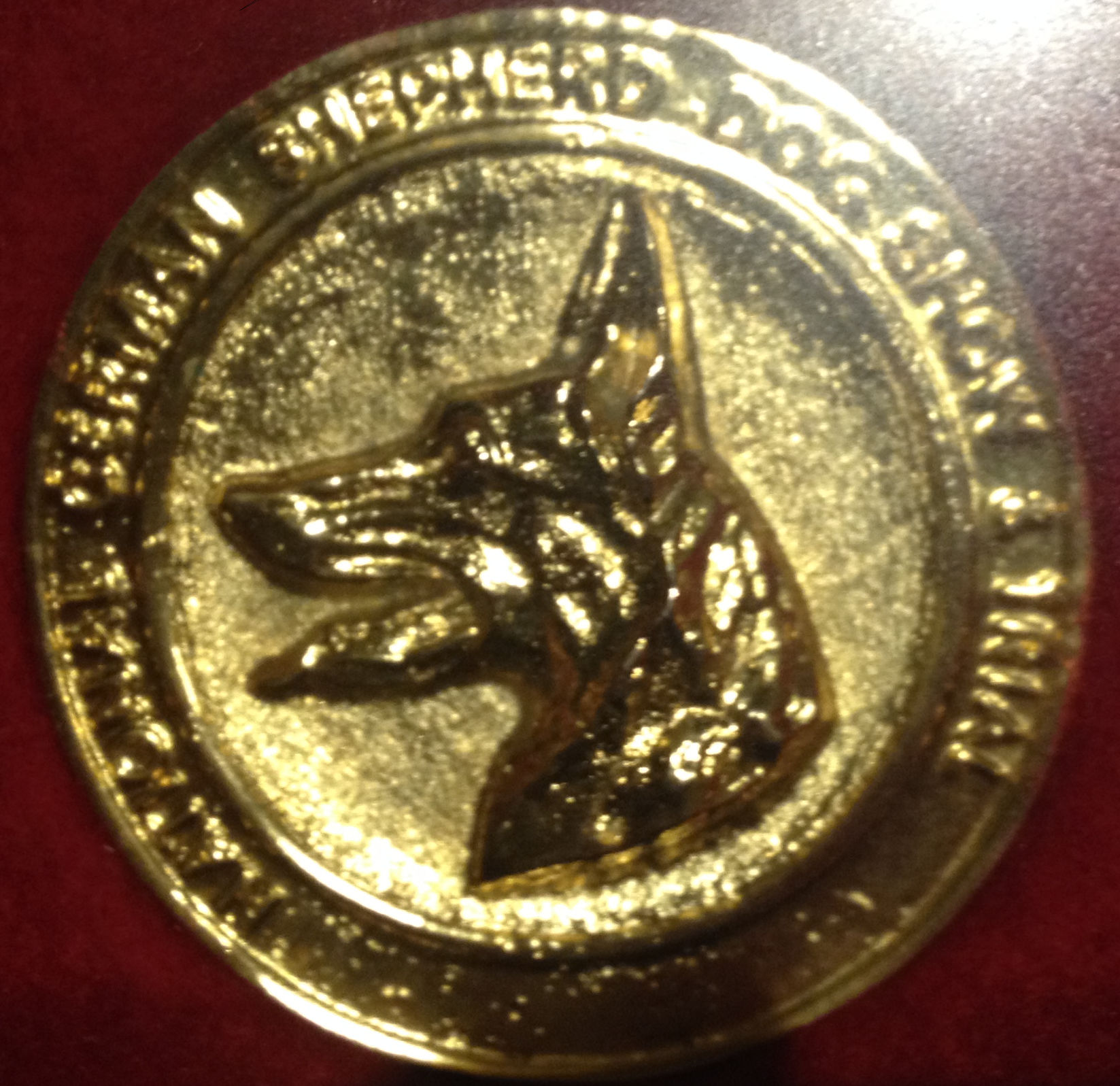 German-Shepherd-National-Gold-Medal