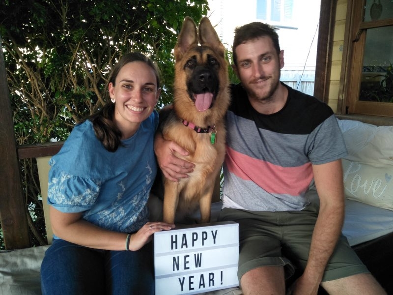 leishjaclyn german shepherds puppies brisbane