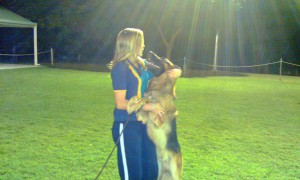 german-shepherd-male-Vulcan-with-his-show-handler