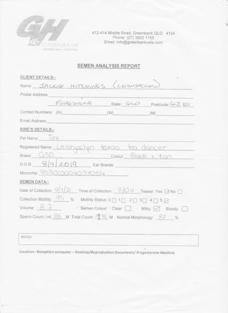 Texas Tea German Shepherd Male Semen Analysis