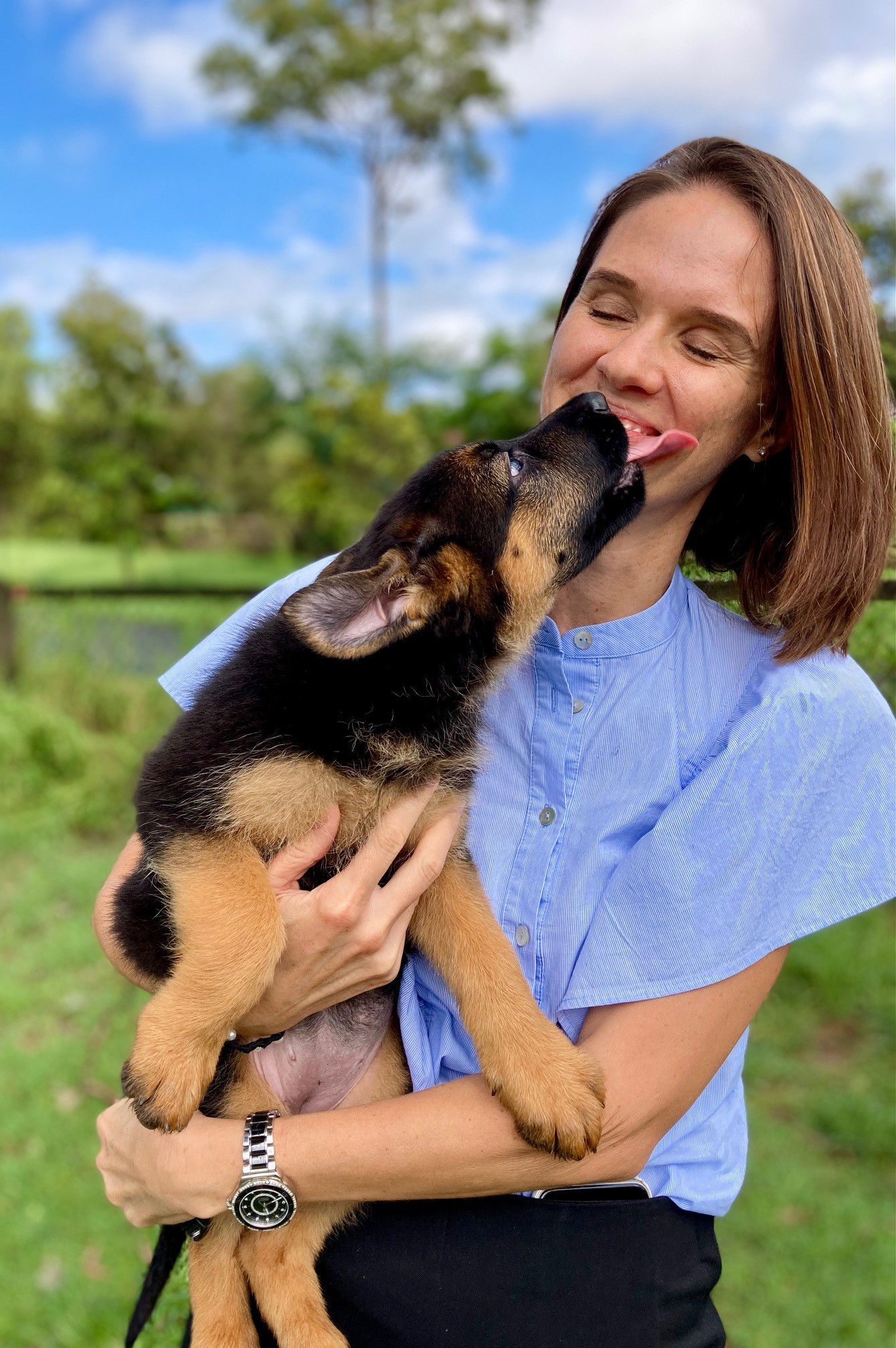 AGGI 8 week old German shepherd female puppy new family