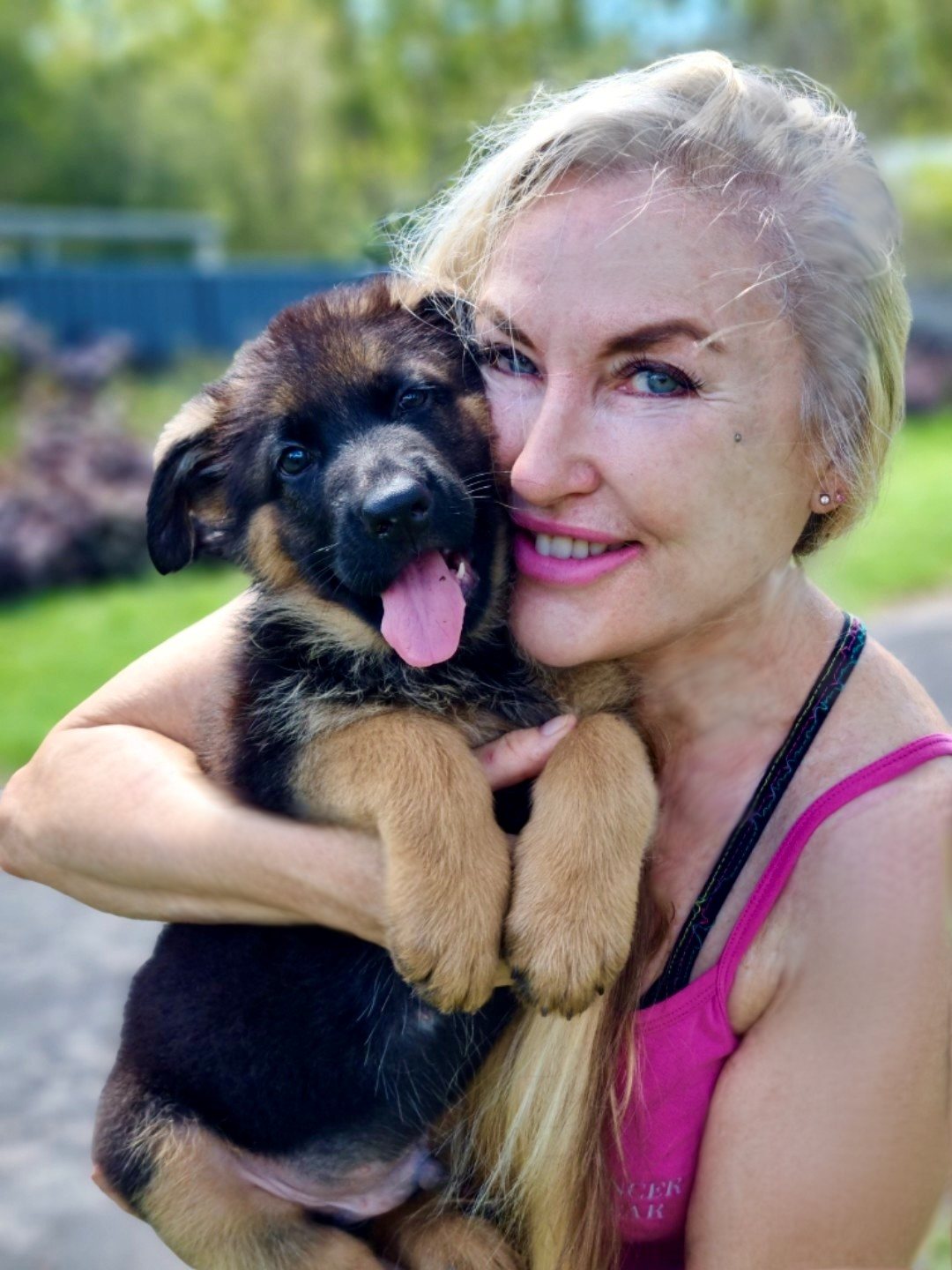 Ceasar 8 Week old German Shepherd male puppy