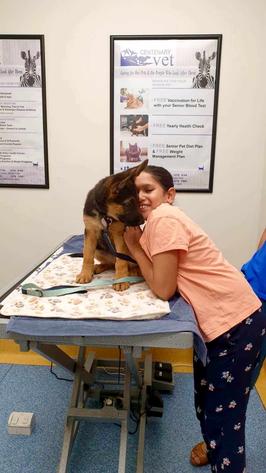 Nala German shepherd puppy at 10 week vaccination