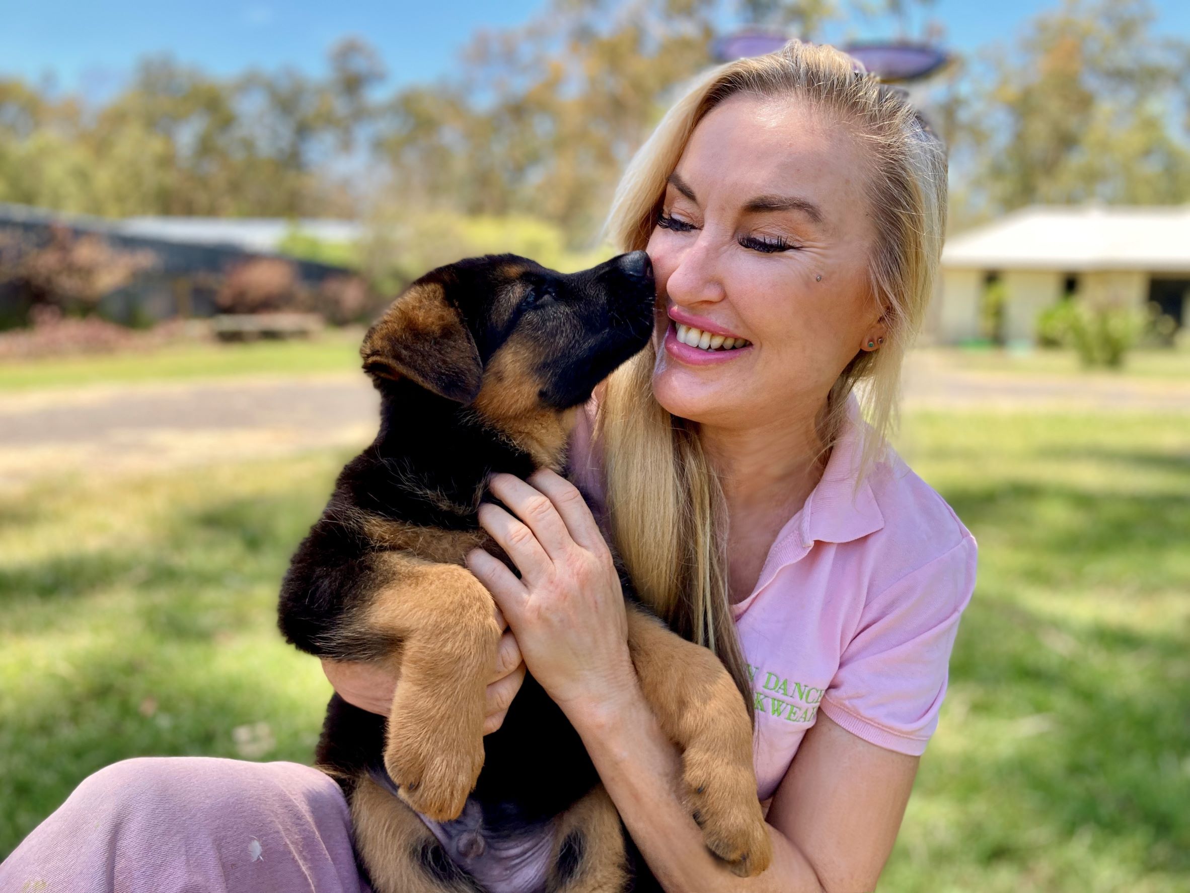 Bertie & Idunn male german shepherd puppy for sale