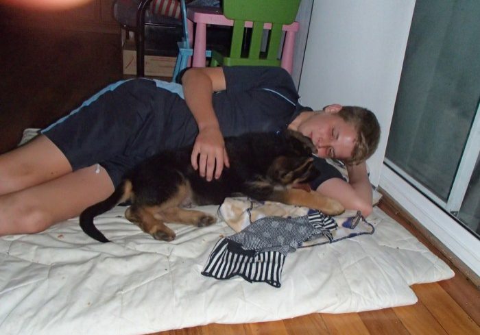 german-shepherd-puppy-sleeping-with-family